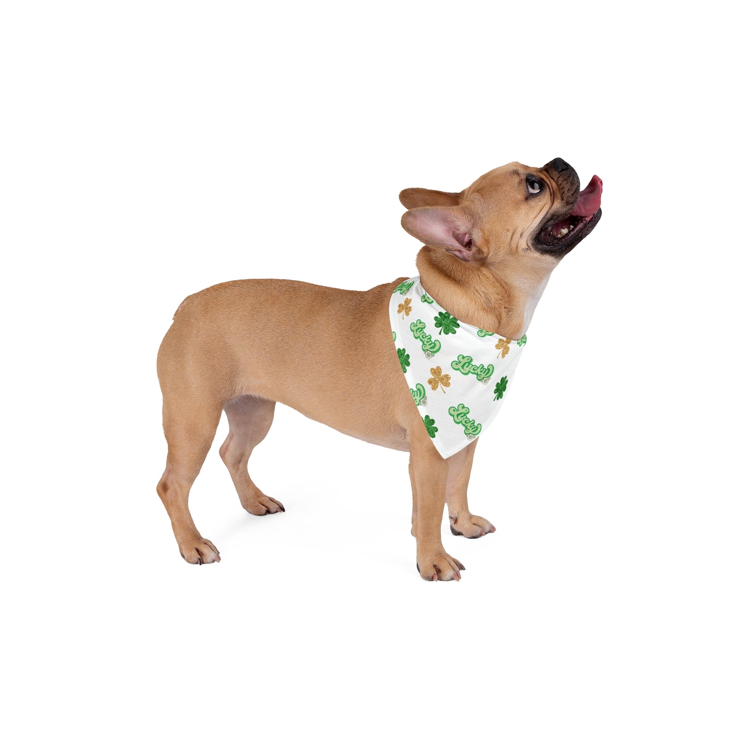 "Lucky" Print Pet Bandana for St. Patrick's Day Celebration